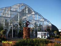 wisley buggy