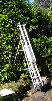 ladder