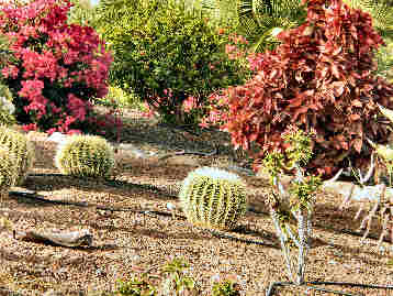 La Gomera HPB gardens