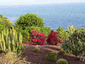 La Gomera HPB gardens