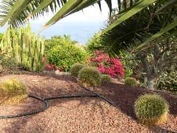 La Gomera HPB gardens