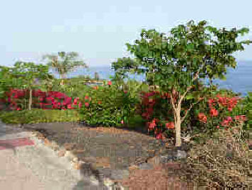 La Gomera HPB gardens