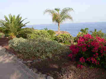 La Gomera HPB gardens