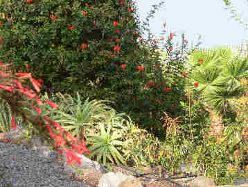 La Gomera HPB gardens