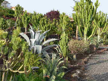 La Gomera HPB gardens