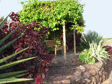 La Gomera HPB gardens