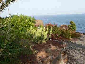 La Gomera HPB gardens