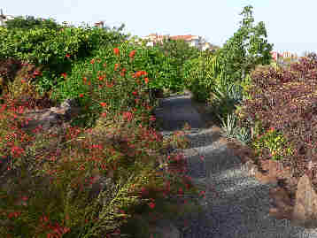 La Gomera HPB gardens