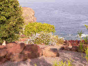 La Gomera HPB gardens