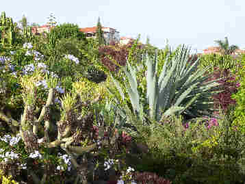 La Gomera HPB gardens