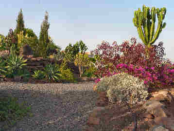 La Gomera HPB gardens
