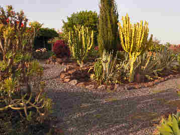 La Gomera HPB gardens