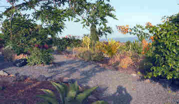 La Gomera HPB gardens