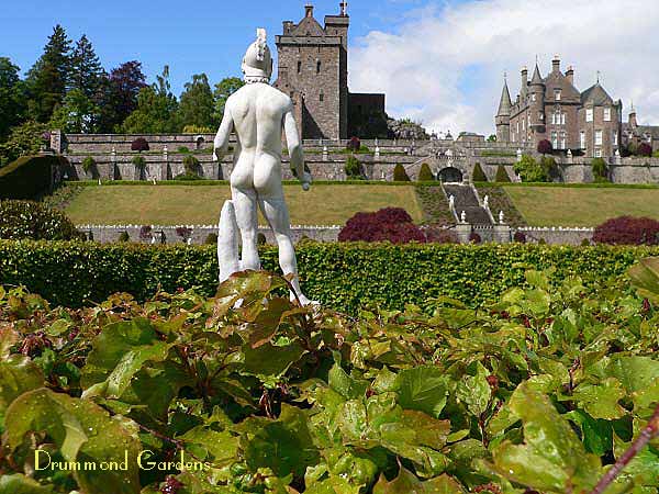 Drummond Gardens