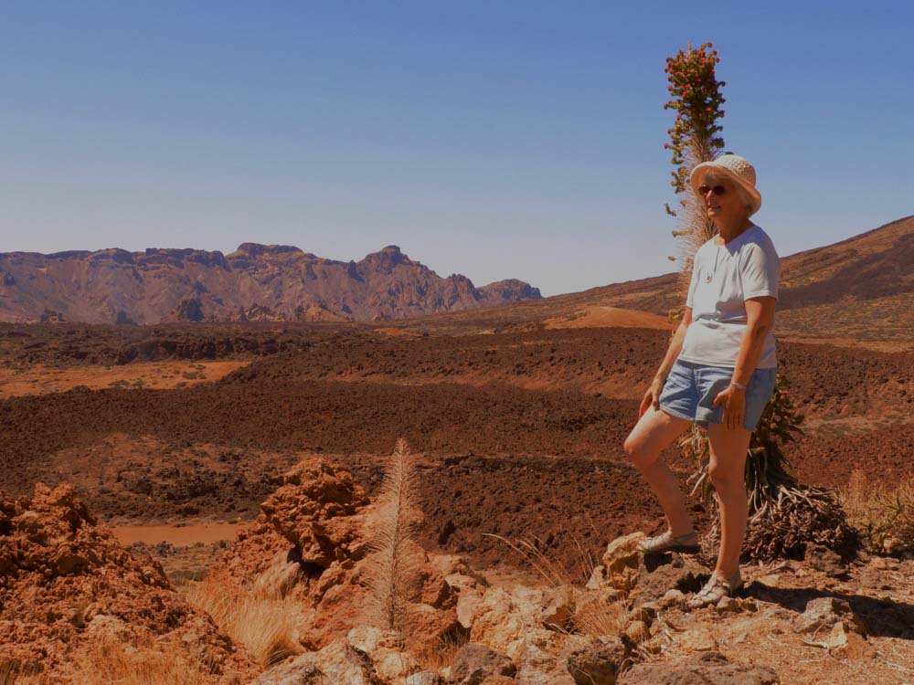 Teide