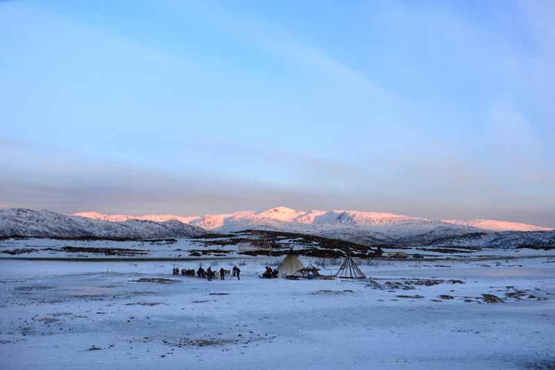 Sami with reindeer 6