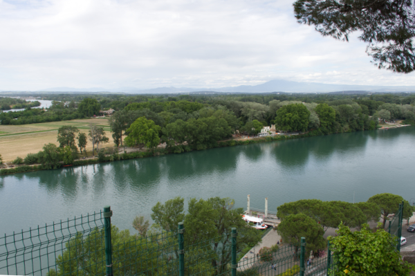 Avignon