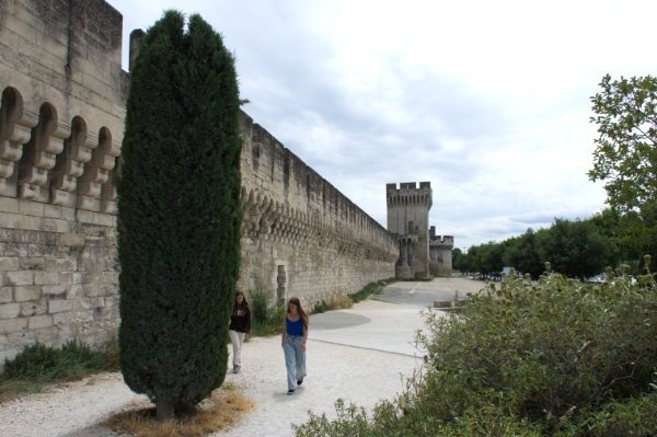 Avignon