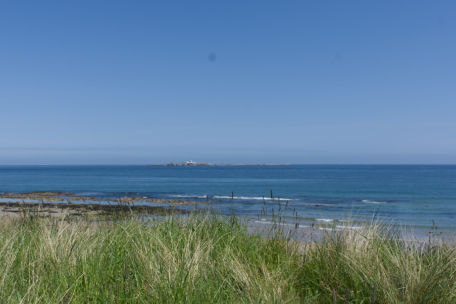 Farne Islands