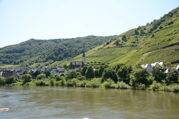 Moselle valley